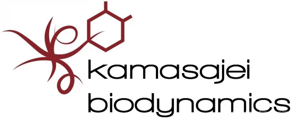 KaMasaJei BioDynamics Bodywork, Oakland - Photo 3