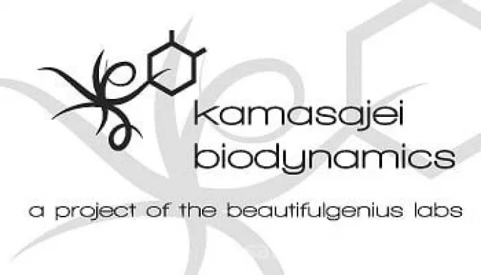 KaMasaJei BioDynamics Bodywork, Oakland - Photo 4