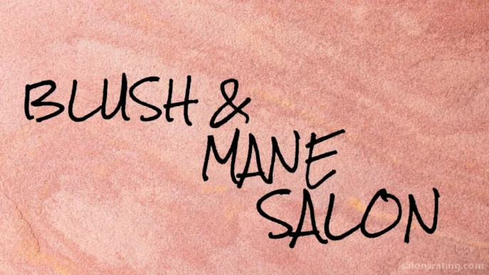 Blush & Mane Salon, Olathe - Photo 2