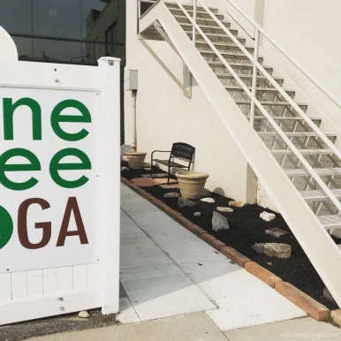 One Tree Yoga - East Studio, Omaha - Photo 4
