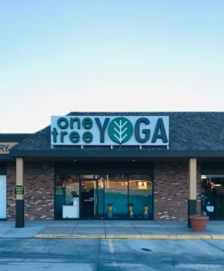 One Tree Yoga - West Studio, Omaha - Photo 4