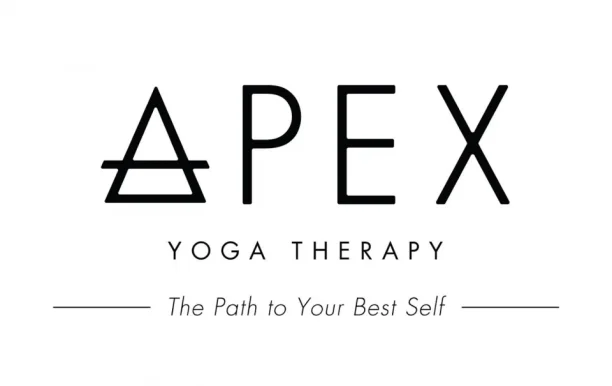 Apex Yoga Therapy, Orange - Photo 1