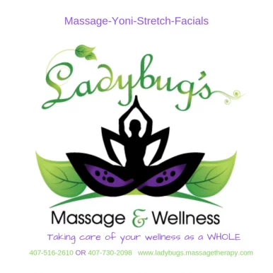 Ladybug's Massage & Wellness LLC, Orlando - Photo 1