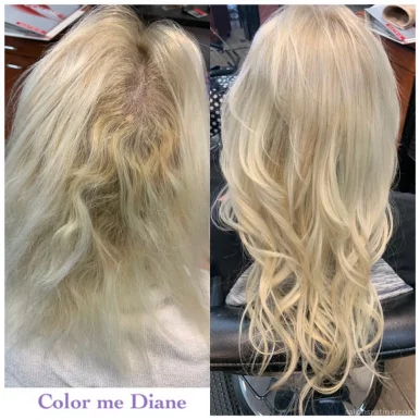 Color Me Diane in Salon, Phoenix - Photo 7