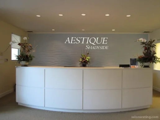 Aestique Plastic Surgical Associates, Ltd., Pittsburgh - Photo 1