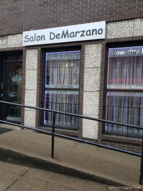 Salon Demarzano, Pittsburgh - Photo 3