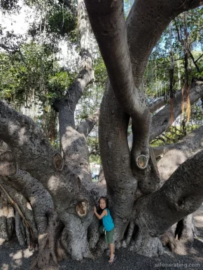 The Banyan Tree, Sacramento - Photo 8