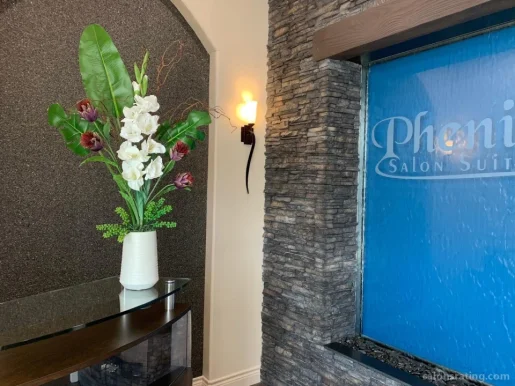 Phenix Salon Suites at Countryside Plaza (Hwy 281 & Bitters Rd), San Antonio - Photo 2