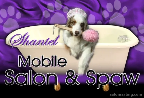 Shantel Mobile Salon & Spa, San Bernardino - Photo 2