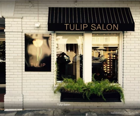 Tulip Salon, San Francisco - Photo 1