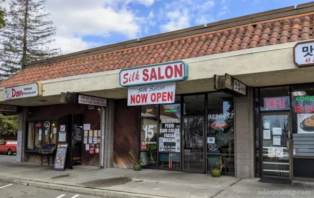 Silk Salon, San Jose - Photo 6