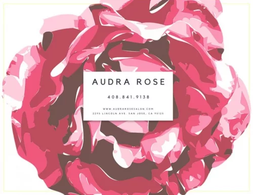 Audra Rose Salon, San Jose - Photo 5