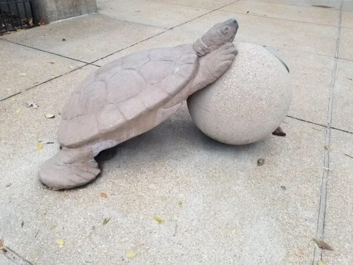 Turtle Monument sculpture, St. Louis - Photo 2