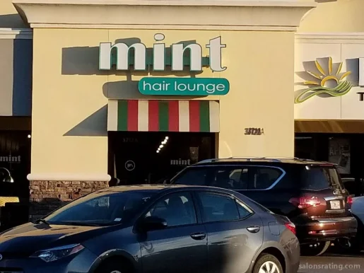 Mint Hair Lounge, Tampa - Photo 3