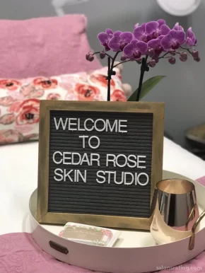 Cedar Rose Skin Studio, Washington - Photo 8