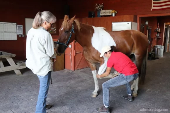 Kansas Equine Massage, Wichita - 